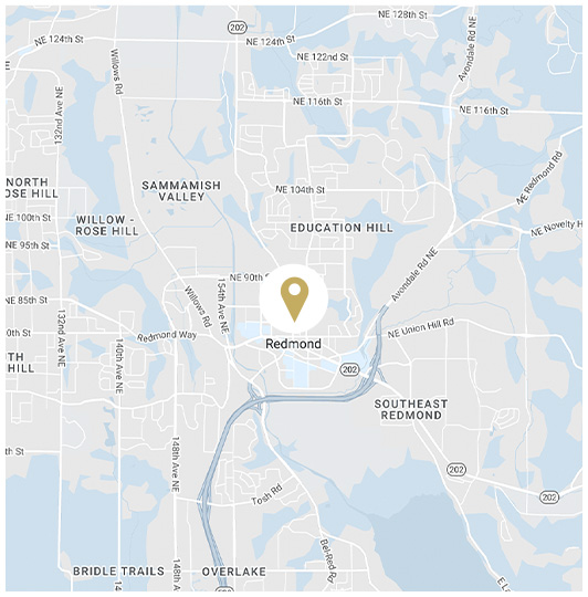 WILLIAMS & JONES LLP